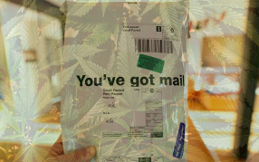 legal-cannabis-delivery