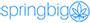 springbig