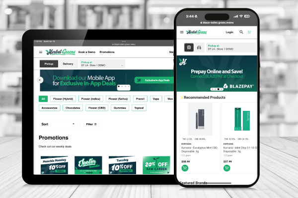 Boost Online Sales with SEO-Optimized E-Commerce