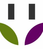 case study 5